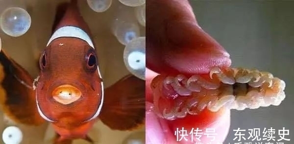 一男子河边钓鱼，扒开嘴巴看看，顿时瘫在地上