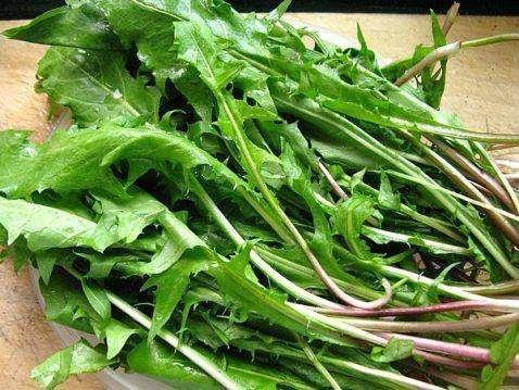 清热解毒|肝火过旺,眼干,口苦,多吃5种野菜,保肝护肝,清热解毒灭肝火