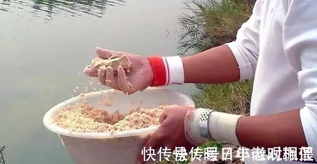 夏季|夏季夜钓时，这三个找鱼技巧要学会，诱鱼省时又省力