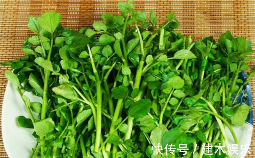 女性|女性不想显老,常吃4种食物,营养丰富,滋补身体,改善睡眠