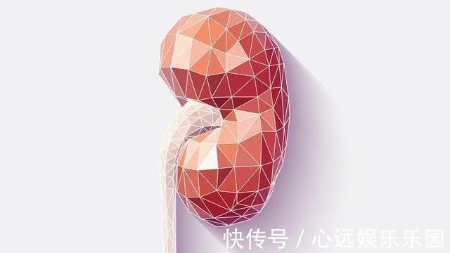 营养物质|常喝枸杞水养肝强身,但要避开四个禁忌,为了健康,花时间看看吧