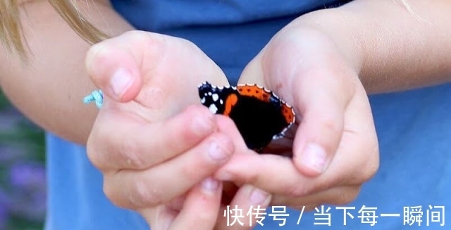 蝴蝶|夏洛特公主也是睫毛精!手捧蝴蝶纤长睫毛引人羡,T恤只售35元?