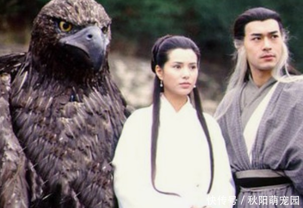 灵蛇|杨过当初为何要救雕而杀了蛇?如果救怪蛇,杨过恐怕早已天下无敌