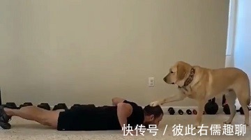 做俯卧撑|健身的最佳拍档,你绝对想不到!