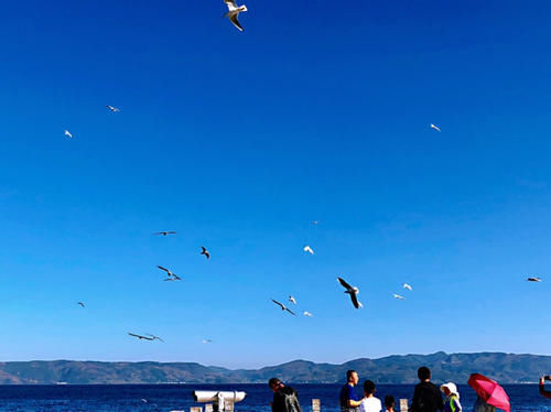 抚仙湖|云南自驾游第一站，抚仙湖禄充景区，景色之美让我们不肯离开