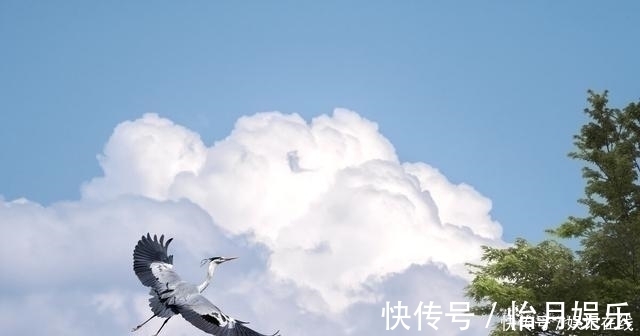 秋词#人生不称意时,不妨读读刘禹锡这首千古名作,读完顿觉神清气爽