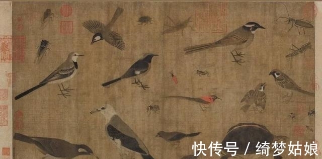 国龟&两种国龟的悲歌——古时的山泽常客到现今的附录稀客