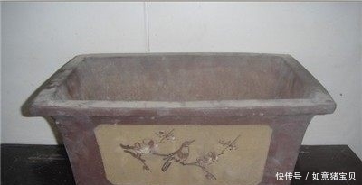 法子|学会这4个养花小秘诀,让你瞬间变成养花高手!