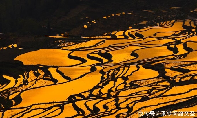 大地的画卷元阳梯田，正迎来最美的时刻，错过只能待明年！