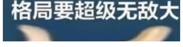 给对家发感谢信,《开拍吧》这是公然开战?