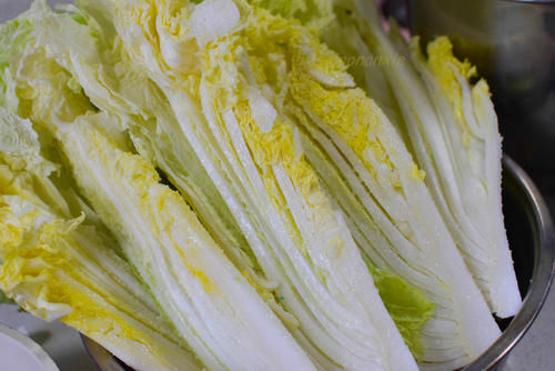 东北酸白菜的腌制方法和酸菜排骨汤的详细做法