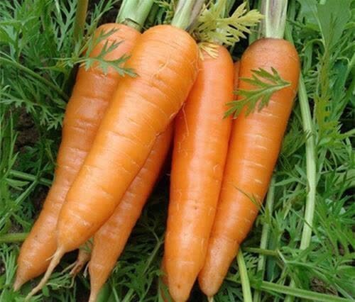 男孩|14岁男孩身高已有183cm,儿科医生:4种食物是入秋“长高王”