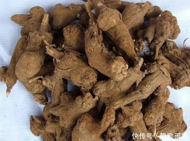 这副经典中药方为何治疗结节、肿瘤疗效好，因为由4种虫类药组成