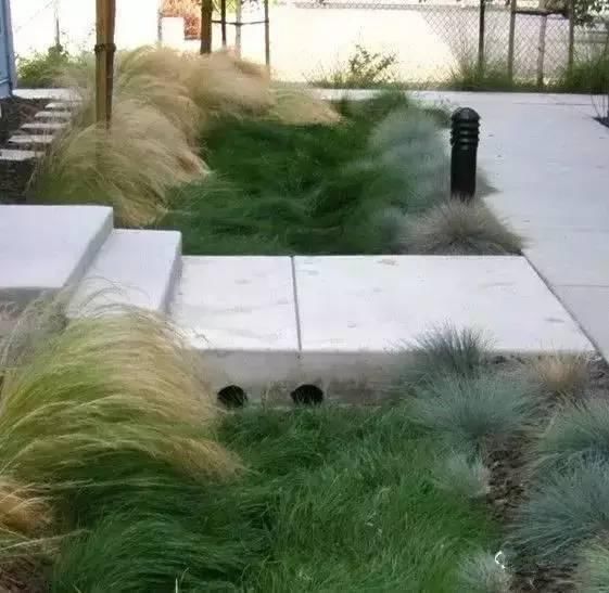  花境|花有“花境”，草有“草境”！