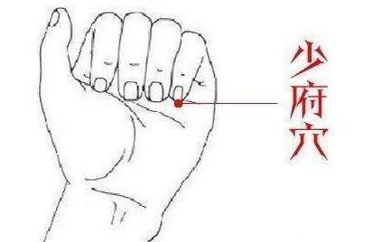 心火|各种上火,心火、肝火、胃火、肺火,教你如何精准快速降火