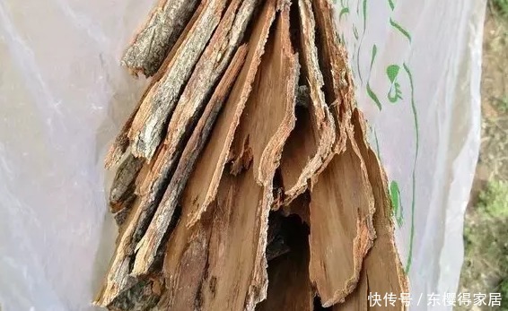 常收集树皮、草木灰养花,省钱又高效,还能多点乐趣