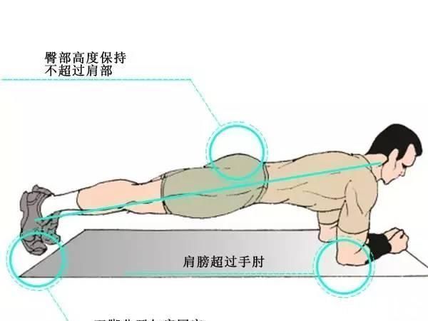 卷腹|五个动作全面提升腹肌水平,练出六块腹肌,搭配健腹轮效果翻倍
