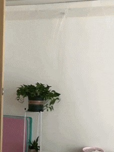 |GIF搞笑趣图 我来找大哥有事, 大嫂关门几个意思啊