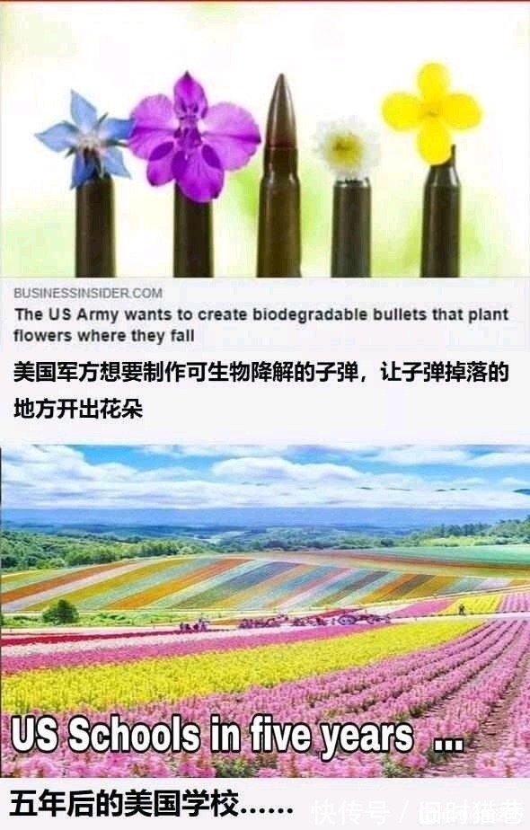 |【地狱笑话】贴吧近期地狱笑话与梗图合集(5)