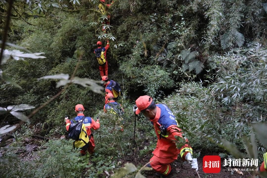 哀牢山|云南哀牢山遇难者遗体转运出山：当晚下了冰雹，救援队有人累倒山上