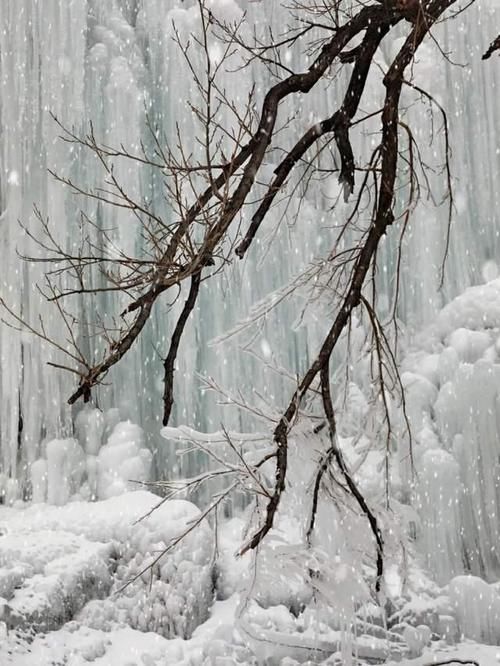 老年|这是什么神仙颜值！冷空气之后，来潍坊邂逅冰雪世界吧！
