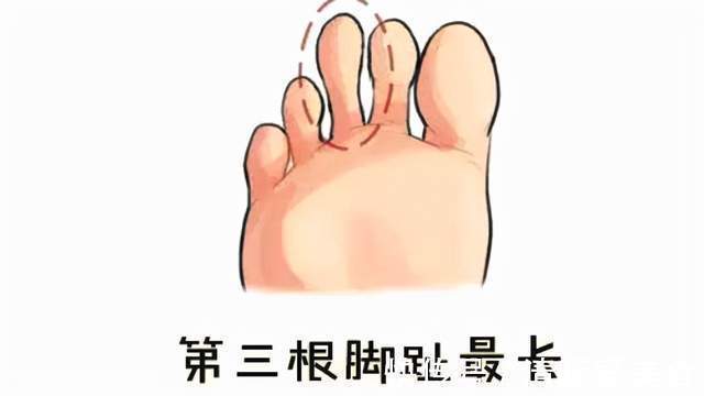 麻衣相法@俗话“二拇脚趾头长,长大了不养娘”,是何意?真能从脚看人品?
