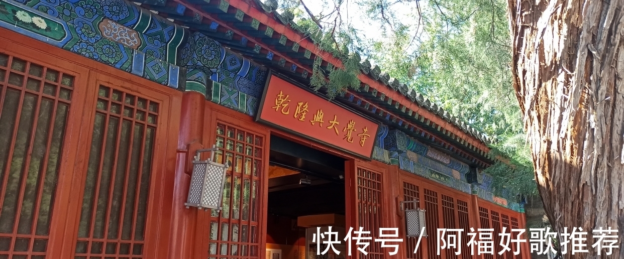 大觉寺|莱芜人在北京：游西山大觉寺