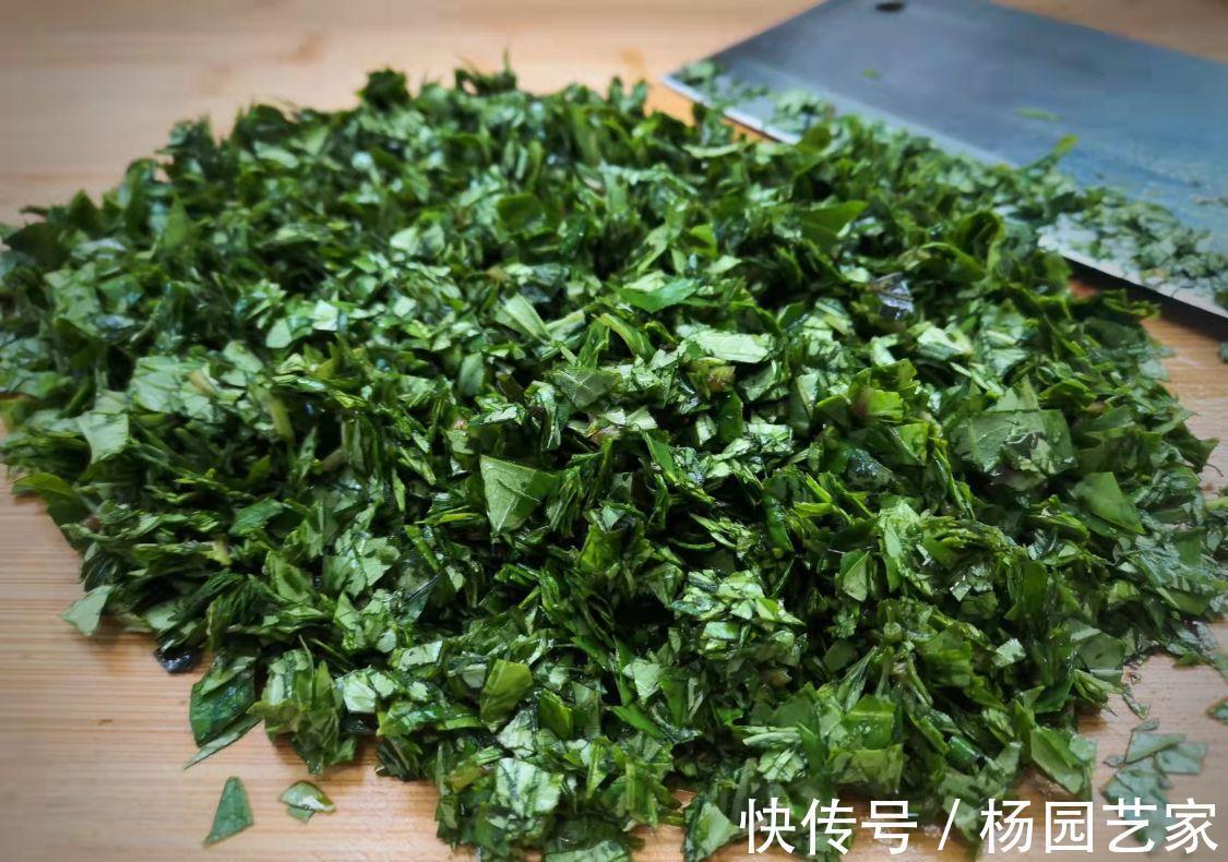 用这种叶子烙饼自带清香,常吃可清洁肠道和血管,但很少有人知道