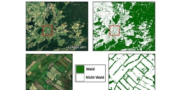 巴西 卫星对准全球森林!中国大半领土都“绿”,德国巴西发现新砍伐区