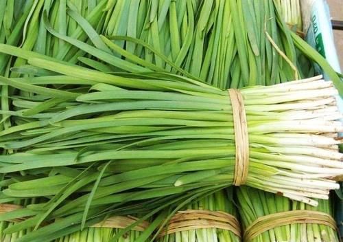 买韭菜时，到底是买细叶还是宽叶，记住这口诀，别再瞎买了