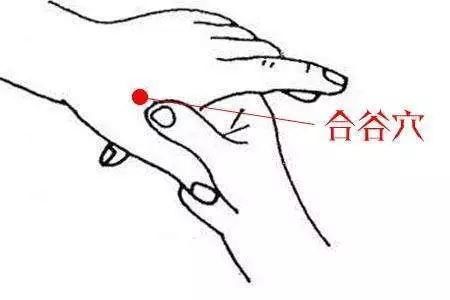 中老年人|让疾病远离你和你的家人——人体的“万能穴”！