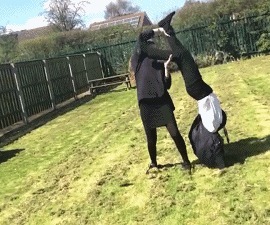 |搞笑GIF:结婚十五年没洗过 是时候该洗洗床单了