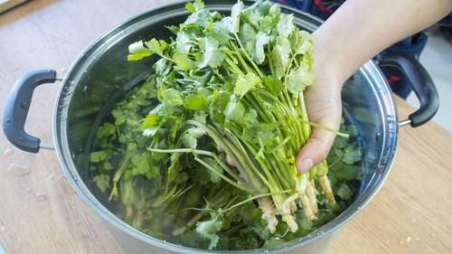 香菜不要当配菜了，农村姑娘教你1个新吃法，喝粥拌饭都是绝配