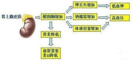 帽子|高血压也有“真假”？这4类患者，可以脱掉高血压的“帽子”