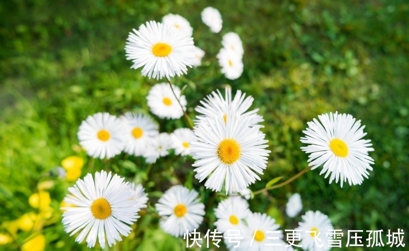 鸿运|国庆节前后,鸿运当头,3星座财源广进,事业风生水起,福禄双全