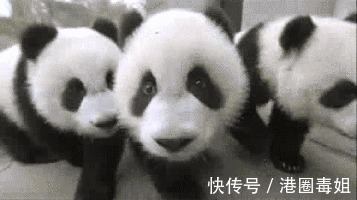 |10个幽默小笑话,开心一笑