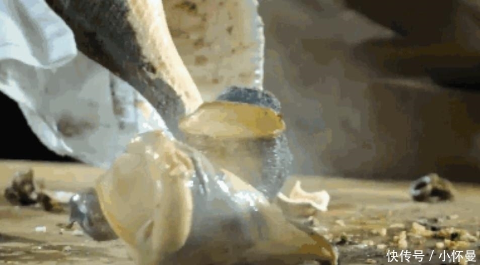 潮汕地区|在潮汕,鲍鱼龙虾都比不上它,它才是“王者”每隔五年才能吃到它