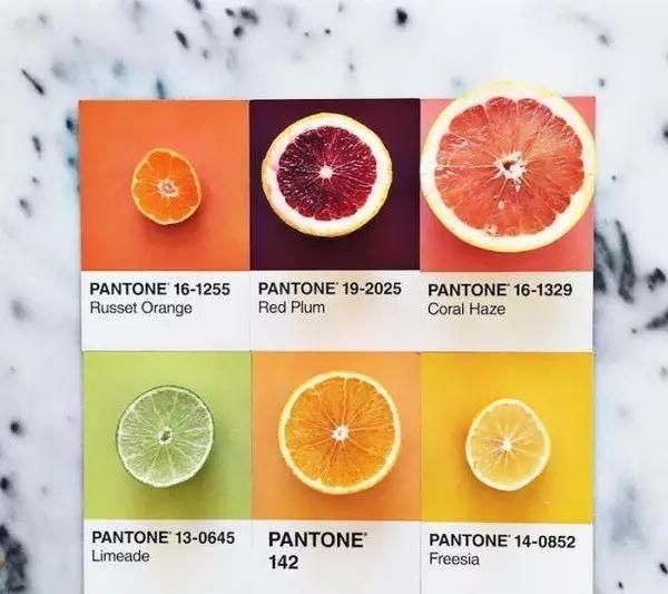 设计师|设计师是好色之徒吧不然怎么能拍出这组创意十足的食物色卡