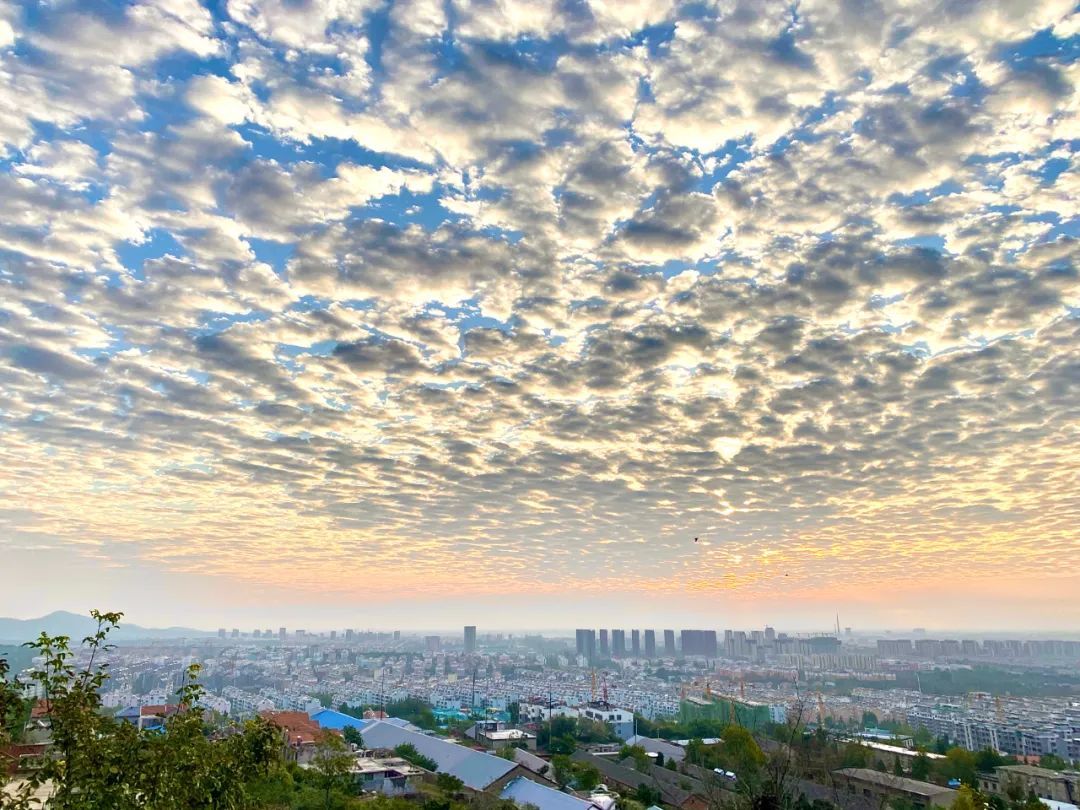 刘十九|今天的泰安，是彩云的城！从城里到泰山顶绝美照片曝光！太太太养眼了！