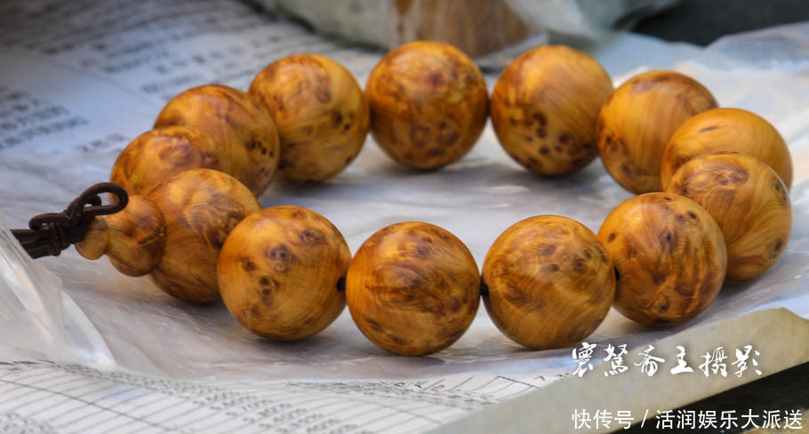 太行山下的遍地“崖柏”，不知到底有多少是真正出自太行山的呢