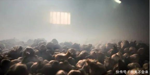 粤菜之所以高级,调味料也很努力哦!