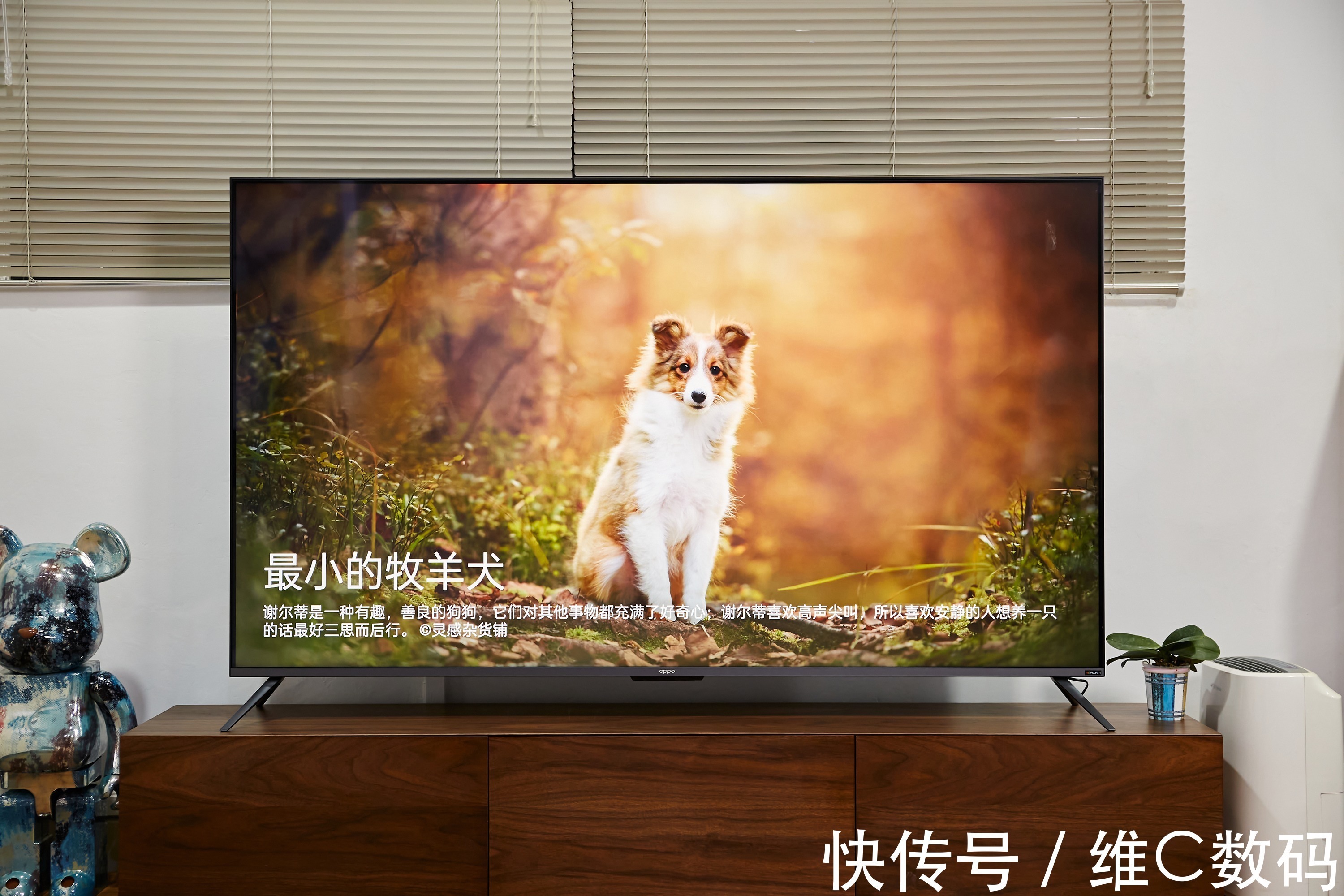 qq音乐|音画体验拉满，OPPO智能电视K9 75英寸正式开售，5499元太值了