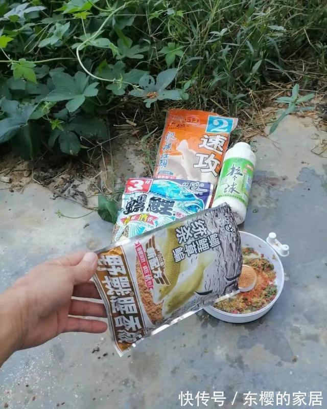 老鬼螺鲤钓鲤鱼,yyds