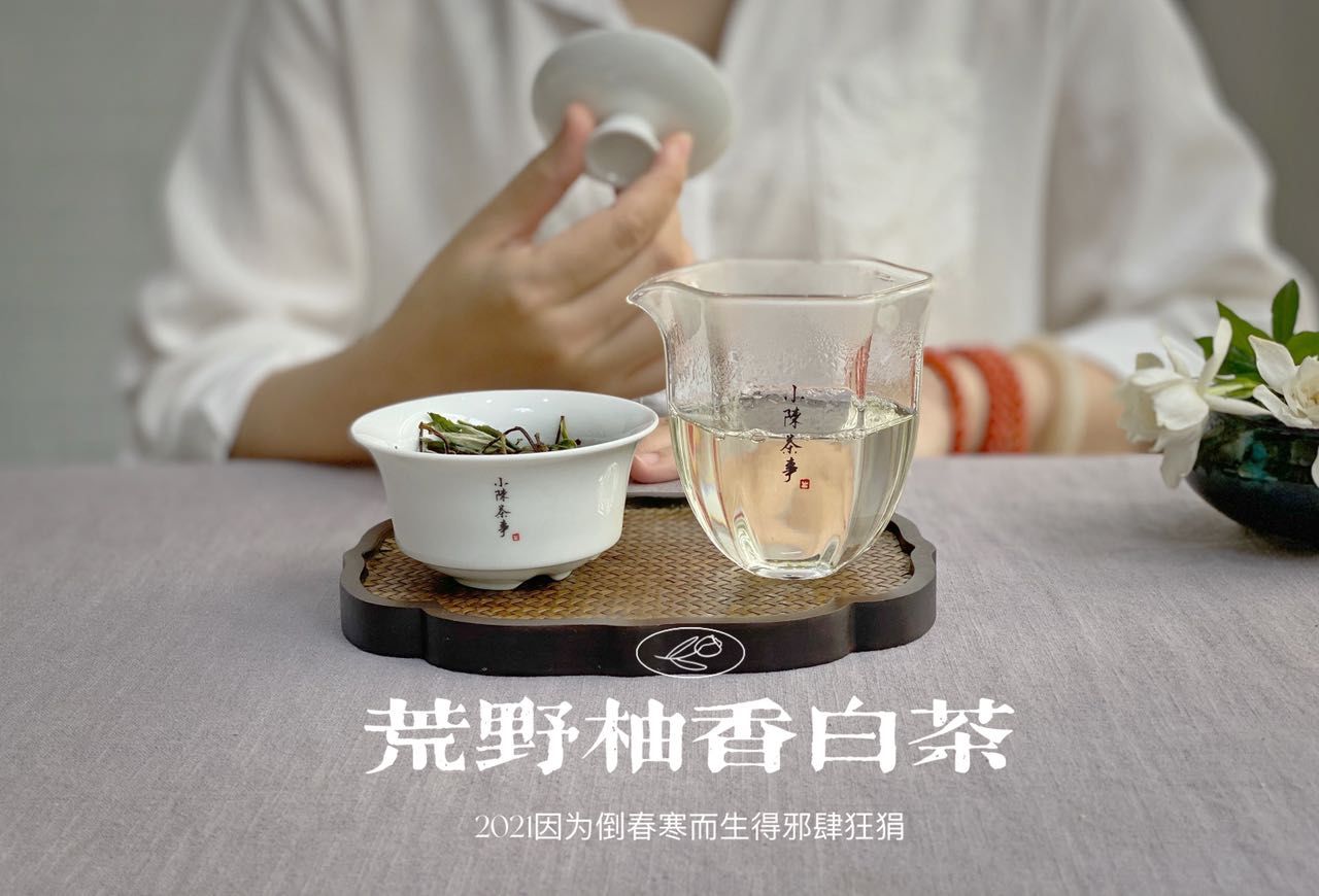 白茶泡着喝和煮着喝，究竟哪一个更香？听村姑陈说完，有收获