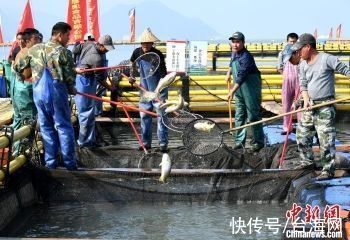 宁德|“互联网+”让大黄鱼“飞”入千家万户
