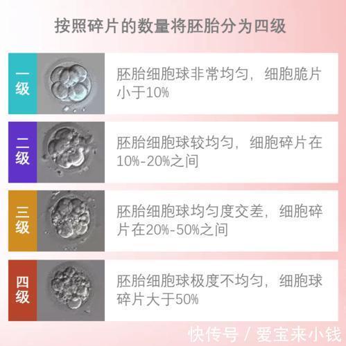 宝宝|试管婴儿：低评分胚胎会影响宝宝健康吗？