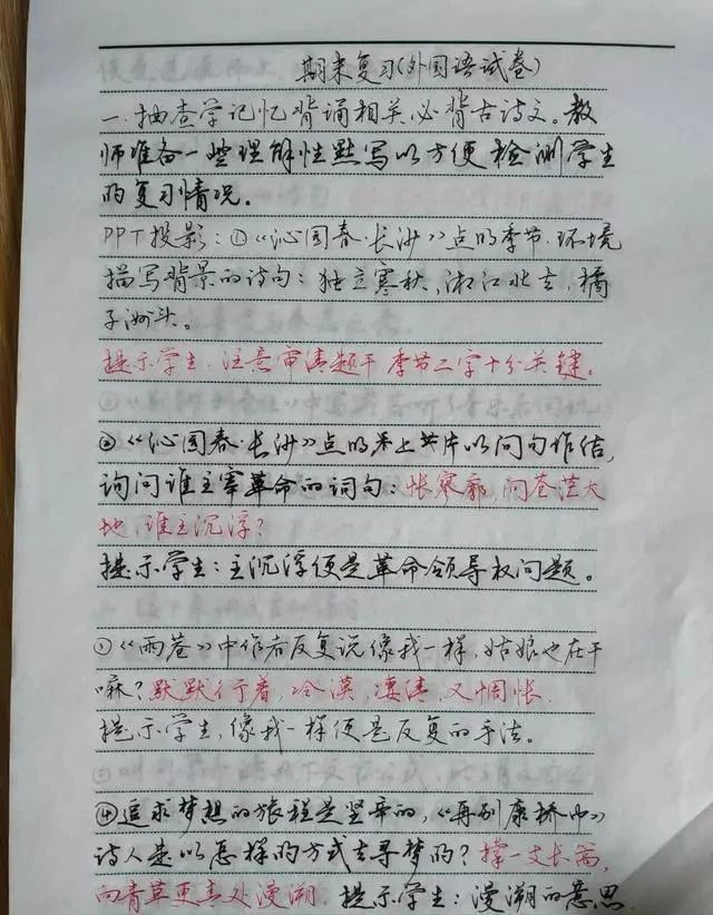 教师的期末复习计划，不仅安排得当，而且字迹行云流水，笔笔精彩