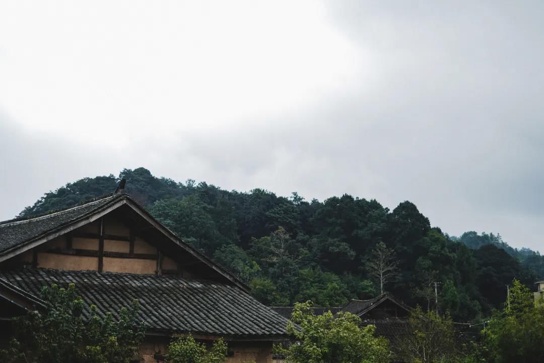 在200年前的土楼里生活，厨房门前是3片菜地，屋前荷花池，院外桂花树