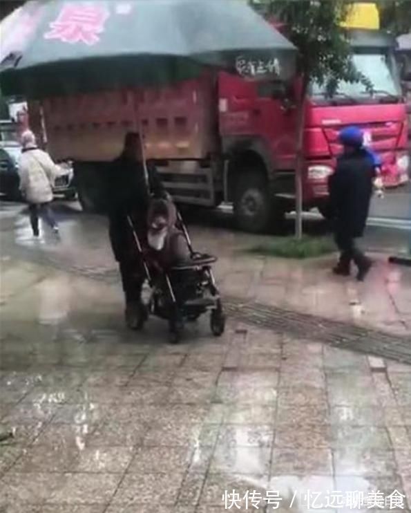 亲情|爷爷的“豪华婴儿车”火了,挡雨遛娃俩不误:想要这样的爷爷