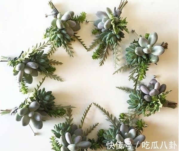 耳环 不是所有首饰都是珠宝的,多肉做成首饰,颜值完全秒杀大牌首饰!